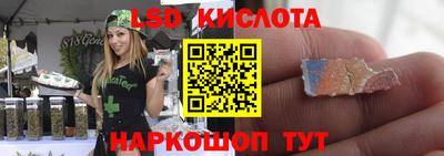 mdpv Славгород