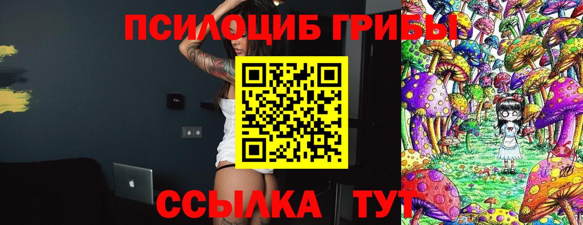 купить   Галлюциногенные грибы Psilocybine cubensis  Северобайкальск  Вход с VPN  Псилоцибиновые грибы Psilocybe 