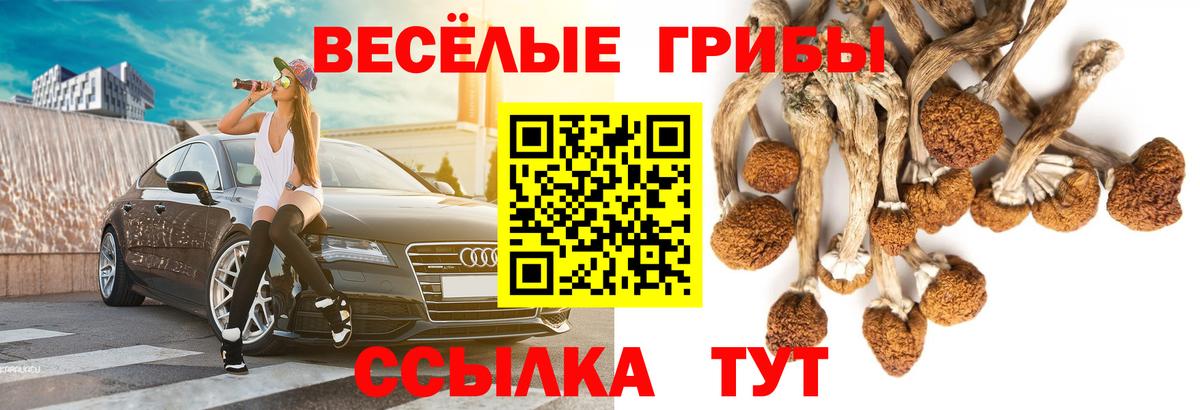 Псилоцибиновые грибы MAGIC MUSHROOMS Северобайкальск